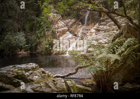 Der Tsitsikamma Wanderweg ist ein multi-day Backpacking Route beginnt am Indischen Ozean in der Nähe von Nature's Valley, endend bei Storm's River, Südafrika Stockfoto