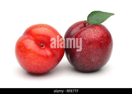 Ganze rote Pflaumen mit Blatt auf weißem Hintergrund Stockfoto