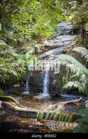 Der Tsitsikamma Wanderweg ist ein multi-day Backpacking Route beginnt am Indischen Ozean in der Nähe von Nature's Valley, endend bei Storm's River, Südafrika Stockfoto