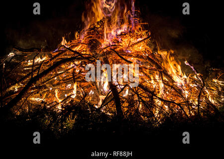 Lagerfeuer im Freien. Camping in der Natur im Wald und in einem warmen Feuer und Nacht. Rot, warmes Licht. Stockfoto
