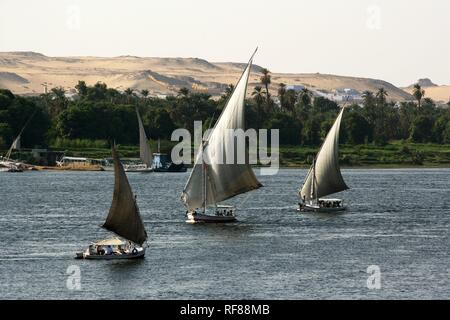 Feluccas, traditionelle Segelboote auf dem Nil, in der Nähe von Aswan, Ägypten, Afrika Stockfoto