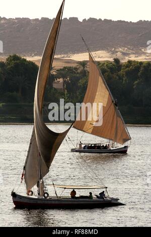 Feluccas, traditionelle Segelboote auf dem Nil, in der Nähe von Aswan, Ägypten, Afrika Stockfoto