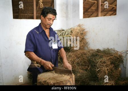 Arzneimittel produziert im hauseigenen Soma Herbals Fabrik, Somatheeram Ayurveda Resort, traditionelle ayurvedische Medizin Spa Resort Stockfoto