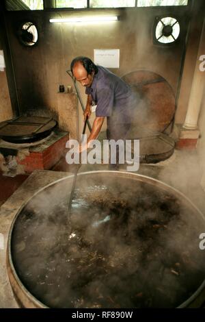 Arzneimittel produziert im hauseigenen Soma Herbals Fabrik, Somatheeram Ayurveda Resort, traditionelle ayurvedische Medizin Spa Resort Stockfoto