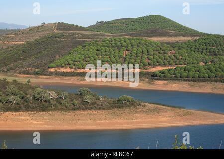 Landschaft am Barragem Da Bravura Behälter mit Pinienwald, Algarve, Portugal Stockfoto