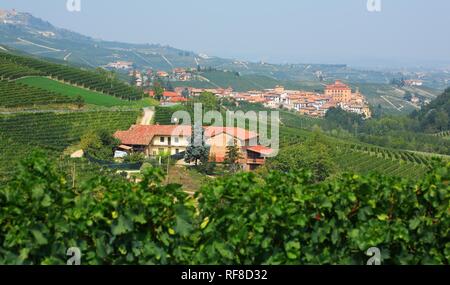 Weinberg und Castello Falletti schloss, Barolo, Langhe, Piemont, Italien, Europa Stockfoto