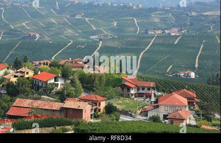 Wein Land in der Nähe von La Morra, Langhe, Piemont, Italien, Europa Stockfoto