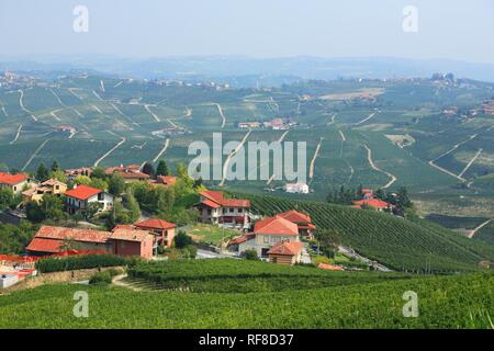 Wein Land in der Nähe von La Morra, Langhe, Piemont, Italien, Europa Stockfoto