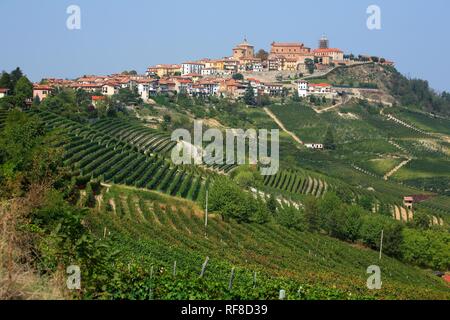 Wein Land in der Nähe von La Morra, Langhe, Piemont, Italien, Europa Stockfoto