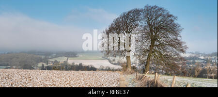 Winter buche Bäume am Rande eines gepflügten Feldes im Schnee in die Landschaft von Cotswold abgedeckt. Chipping Campden, Cotswolds, Gloucestershire, England Stockfoto