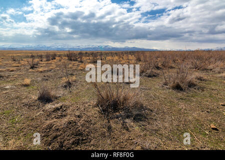 Feuchtgebiete um Urmia-see, West Aserbaidschan Provinz Urmia, Iran Stockfoto