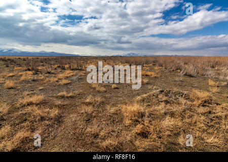 Feuchtgebiete um Urmia-see, West Aserbaidschan Provinz Urmia, Iran Stockfoto