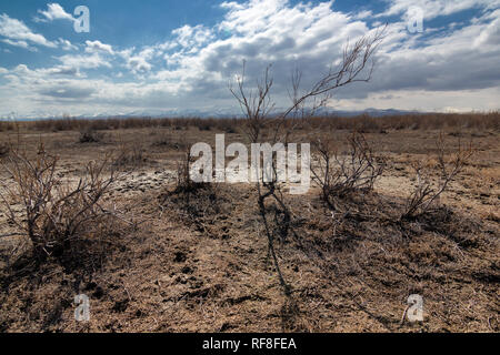 Feuchtgebiete um Urmia-see, West Aserbaidschan Provinz Urmia, Iran Stockfoto