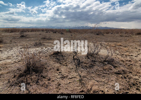 Feuchtgebiete um Urmia-see, West Aserbaidschan Provinz Urmia, Iran Stockfoto