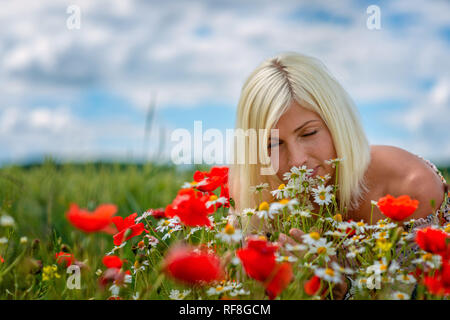 Eine schöne, attraktive, blonde Frau sammelt Wiese Blumen am Rand des Feldes. Soft Focus. Stockfoto