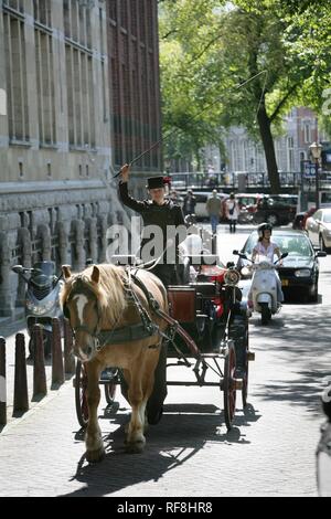 Pferd-und-Buggy für Stadtrundfahrten eingesetzt, Amsterdam, Niederlande, Europa Stockfoto