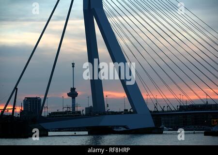 Erasmusbrücke über die Maas, Rotterdam, Niederlande, Europa Stockfoto