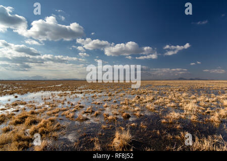 Feuchtgebiete um Urmia-see, West Aserbaidschan Provinz Urmia, Iran Stockfoto