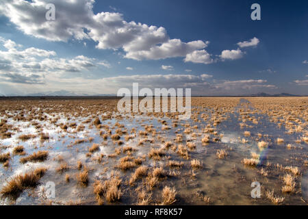 Feuchtgebiete um Urmia-see, West Aserbaidschan Provinz Urmia, Iran Stockfoto