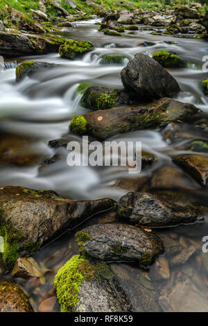 Niedrige fließende Wasser im Osten Lyn River, North Devon. Stockfoto