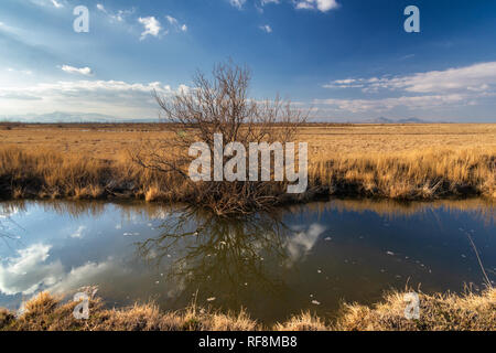 Feuchtgebiete um Urmia-see, West Aserbaidschan Provinz Urmia, Iran Stockfoto