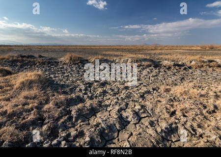 Feuchtgebiete um Urmia-see, West Aserbaidschan Provinz Urmia, Iran Stockfoto