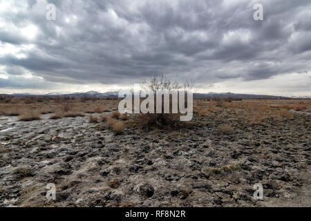 Feuchtgebiete um Urmia-see, West Aserbaidschan Provinz Urmia, Iran Stockfoto