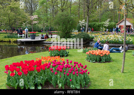 Besucher unter den Frühjahrsblüher auf der weltweit größten Glühlampe Blumengarten Keukenhof Gärten im April 2018, Lisse, Niederlande, Die Niederlande Stockfoto