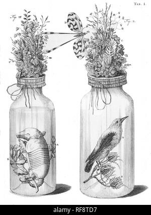 Tiere in Gläsern vintage Abbildung Stockfoto