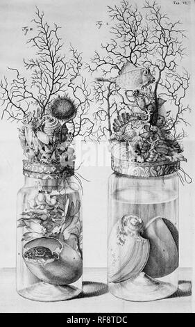 Tiere in Gläsern vintage Abbildung Stockfoto