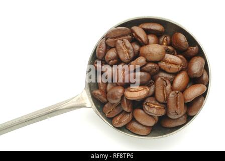 Kaffeebohnen in eine Kugel Stockfoto
