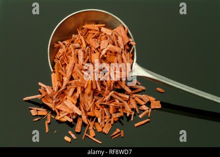 Rotes Sandelholz oder Rot Sandas (Pterocarpus santalinus), Getrocknete Rinde und Kraut, Heilpflanzen, Tee Stockfoto