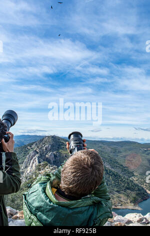 Junger Mann Geier fotografieren in den Naturpark der monfrague Stockfoto