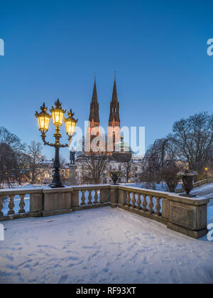 Die Kathedrale und das gustavianum in der Nacht im Winter. Blick von der University Park, Uppsala, Schweden, Skandinavien Stockfoto