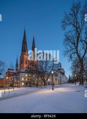 Die Kathedrale und das gustavianum in der Nacht im Winter. Blick von der University Park, Uppsala, Schweden, Skandinavien Stockfoto