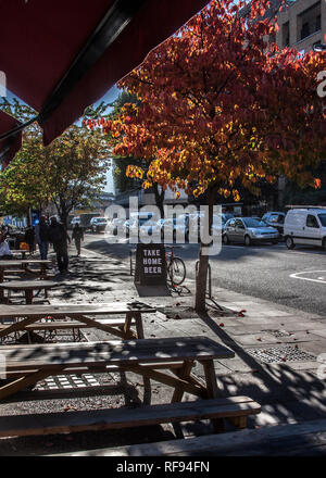 Bäume im Herbst auf Bürgersteig neben leeren Kneipe Bänke Stockfoto