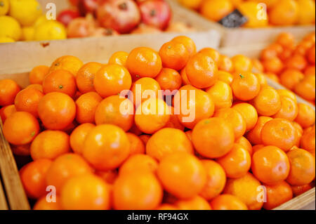 Bunte glänzende frische Früchte. Mandarinen, Mandarine, Clementine auf dem Regal eines Supermarktes oder Lebensmittelladen. Stockfoto