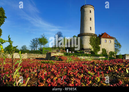 Sparrenburg in Bielefeld mit roten Blumen, Deutschland Stockfoto
