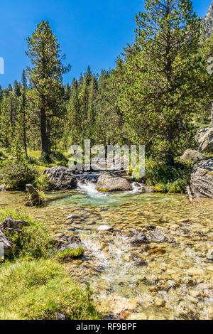 Schöne Strom von Wasser im Sommer Sonnenlicht. Stockfoto