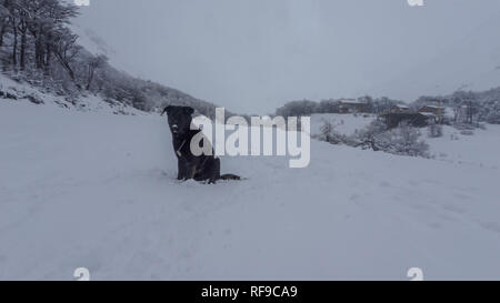 Einen malerischen Blick auf Gletscher Martial bei Ushuaia, Argentinien, Patagonien Stockfoto