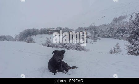 Einen malerischen Blick auf Gletscher Martial bei Ushuaia, Argentinien, Patagonien Stockfoto