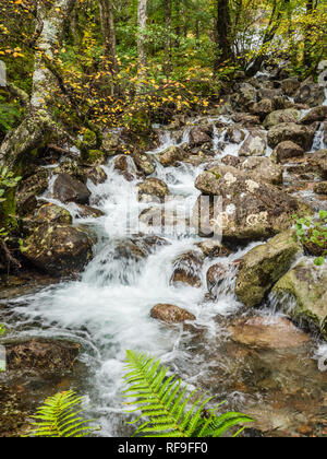 Wasserfall im Tal von Glen Nevis, Schottland Stockfoto