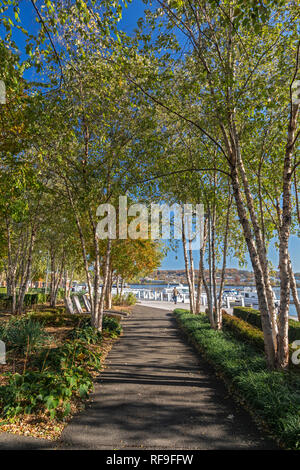 Washington, DC - Das Anacostia Riverwalk Trail. Stockfoto