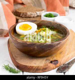 Traditionelle Sommer russische Suppe mit Sauerampfer, grün Bosch Stockfoto