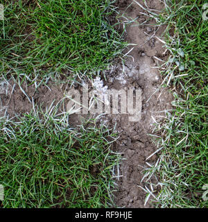 Aus der Studie der Welsh Rugby Plätze. Stockfoto