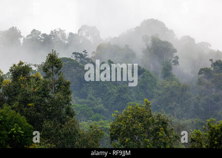 Schwere Wolken über dem Regenwald im Khao Sok Nationalpark, Thailand Stockfoto
