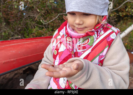 Wenig europäische Mädchen hält Marienkäfer in der Hand, outdoor Foto Stockfoto