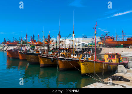 Fischerboote im Hafen der Stadt Mar Del Plata in der Provinz Buenos Aires, Argentinien günstig Stockfoto