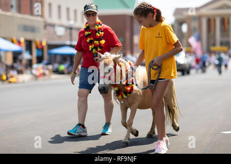 Jasper, Indiana, USA - August 5, 2018: Das Strassenfest Parade, junge Mädchen zu Fuß ihr Mini Pferd auf der Straße Stockfoto