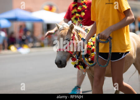 Jasper, Indiana, USA - August 5, 2018: Das Strassenfest Parade, junge Mädchen zu Fuß ihr Mini Pferd auf der Straße Stockfoto